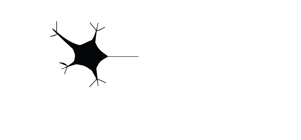 EPILEPSIA SEN